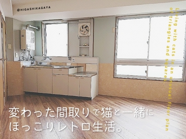 ���Խ�Ƿ���� ������ҡ֥��ƥ���̾�פ�ʪ��β���