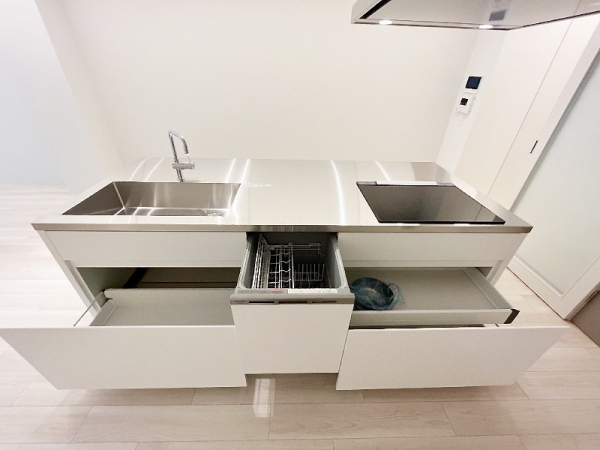 独立洗面台、便器、温水洗浄便座が新品！敷金0！礼金0！駅チカ6分