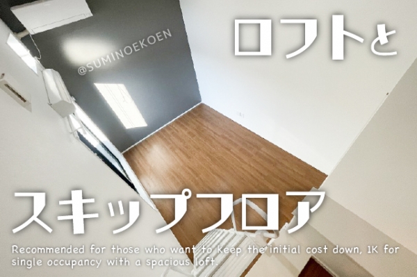 ���Խ�Ƿ���� ��Ƿ������֥��ƥ���̾�פ�ʪ��β���