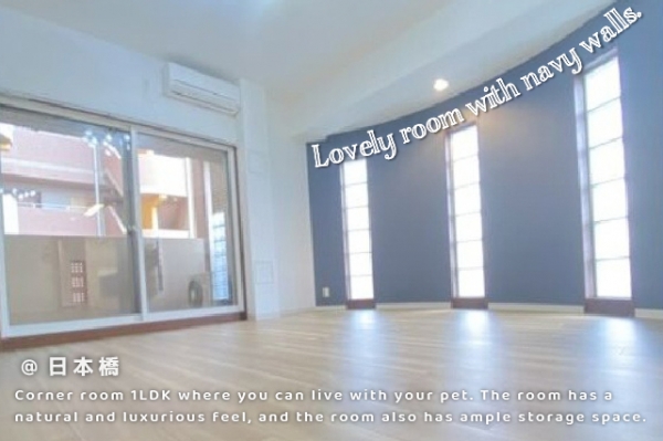 ��������� ���ܶ��֥��ƥ���̾�פ�ʪ��β���