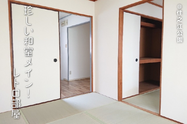 ���Խ�Ƿ���� ��Ƿ������֥��ƥ���̾�פ�ʪ��β���