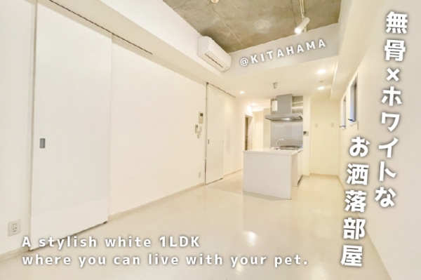 ��������� ���֥͡��ƥ���̾�פ�ʪ��β���