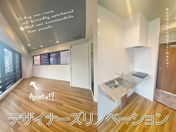 ��������� ����Į�֥��ƥ���̾�פ�ʪ��β���