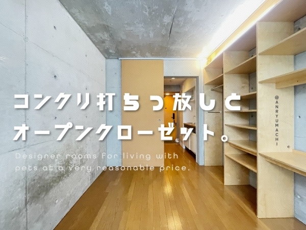 ���Խ�Ƿ���� ��ΩĮ�֥��ƥ���̾�פ�ʪ��β���