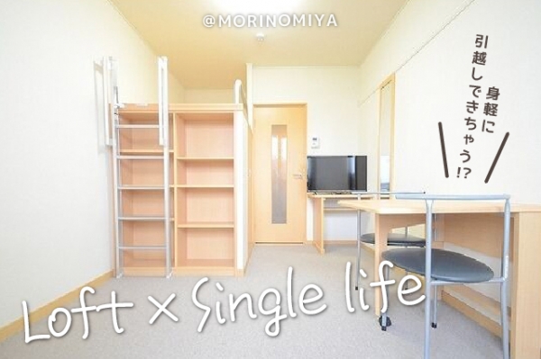 ��������� ���εܡ֥��ƥ���̾�פ�ʪ��β���