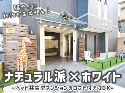 �����̶� ŷ������ϻ���ܡ֥��ƥ���̾�פ�ʪ��β���