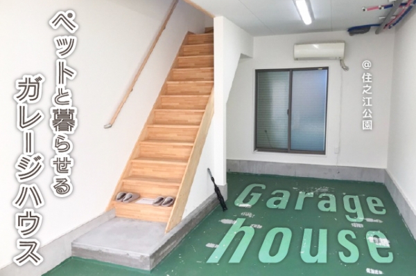 ���Խ�Ƿ���� ��Ƿ������֥��ƥ���̾�פ�ʪ��β���