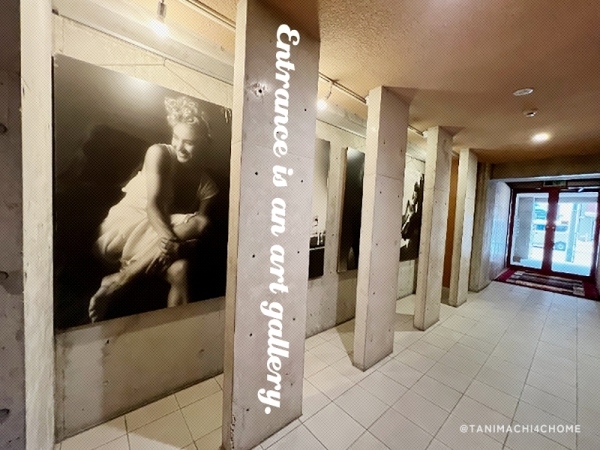 ��������� ëĮ�����ܡ֥��ƥ���̾�פ�ʪ��β���