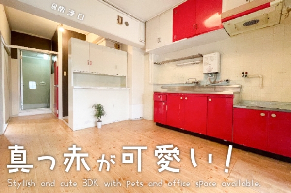 ���Խ�Ƿ���� ������֥��ƥ���̾�פ�ʪ��β���