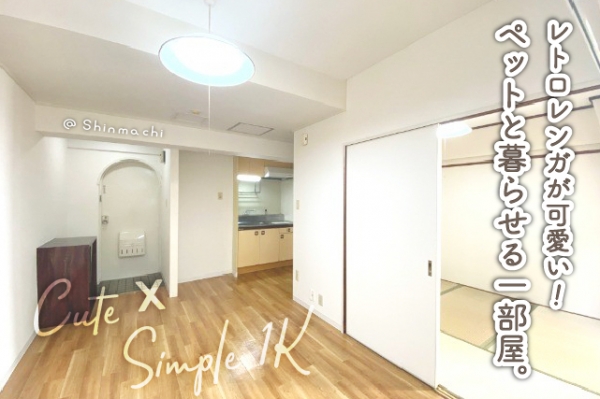 �������� ���綶�֥��ƥ���̾�פ�ʪ��β���