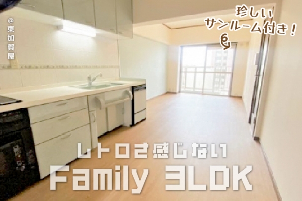 ���Խ�Ƿ���� �̲ò첰�֥��ƥ���̾�פ�ʪ��β���