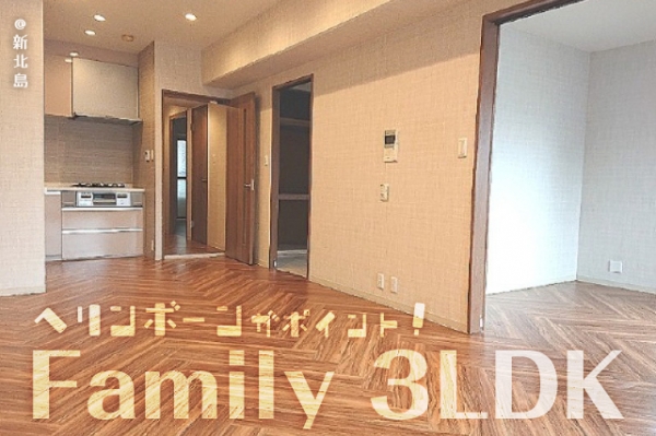 ���Խ�Ƿ���� ��Ƿ������֥��ƥ���̾�פ�ʪ��β���