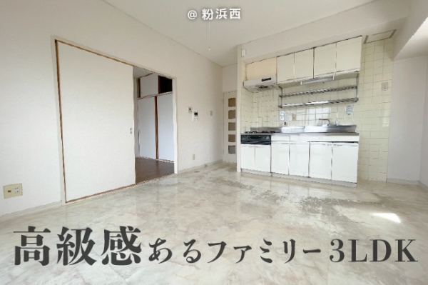 ���Խ�Ƿ���� ʴ�֥͡��ƥ���̾�פ�ʪ��β���