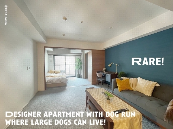 ��������� ŷ�����֥��ƥ���̾�פ�ʪ��β���