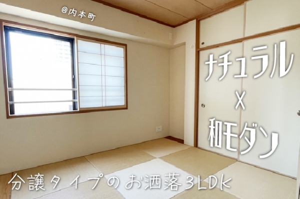 ��������� ëĮ�����ܡ֥��ƥ���̾�פ�ʪ��β���