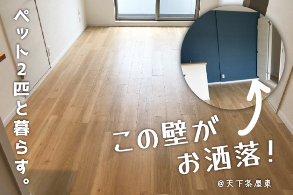 ���������� ������֥��ƥ���̾�פ�ʪ��β���