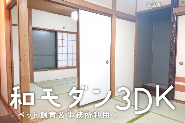 ���Խ�Ƿ���� ��Ƿ������֥��ƥ���̾�פ�ʪ��β���