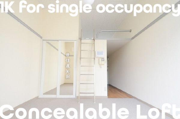 �����콻�ȶ� ���ġ֥��ƥ���̾�פ�ʪ��β���