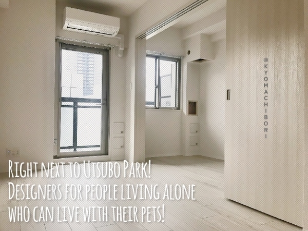 �������� ��嶶�֥��ƥ���̾�פ�ʪ��β���