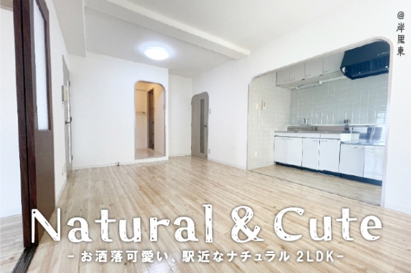 ���������� ��ŷ��֥��ƥ���̾�פ�ʪ��β���