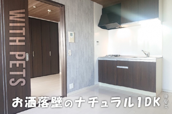 ���Խ�Ƿ���� ��¹��ƻ�֥��ƥ���̾�פ�ʪ��β���