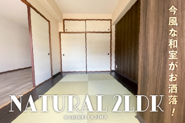 ���Խ�Ƿ���� ʿ�ӡ֥��ƥ���̾�פ�ʪ��β���