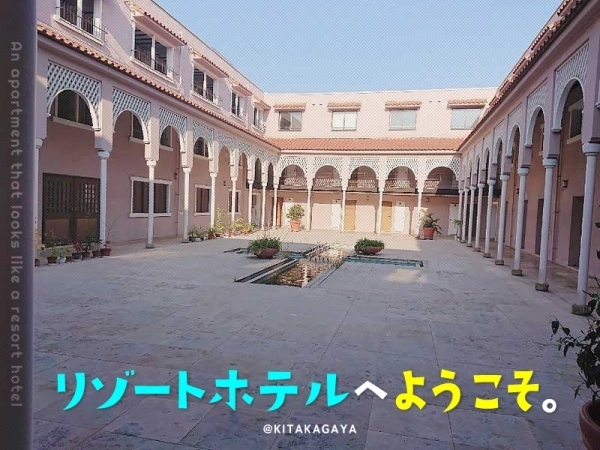 ԽǷ ̲ò첰֥ƥ̾פʪβ