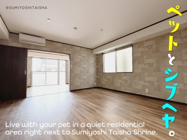 ���Խ�Ƿ���� ������ҡ֥��ƥ���̾�פ�ʪ��β���