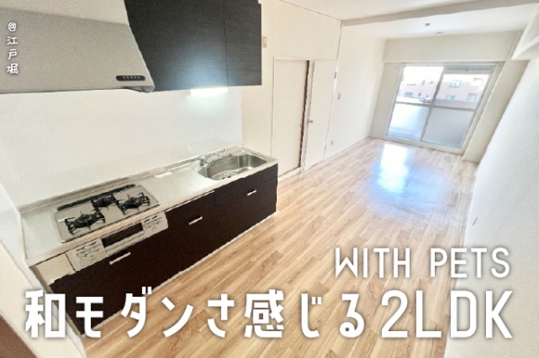 �������� ���Ⱥ¡֥��ƥ���̾�פ�ʪ��β���