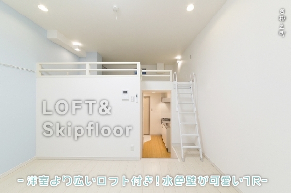 ��Ժ�� ����Į�֥��ƥ���̾�פ�ʪ��β���