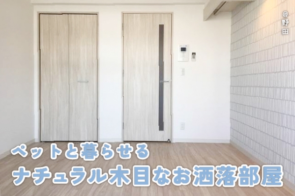 ����ʡ��� ���ġ֥��ƥ���̾�פ�ʪ��β���