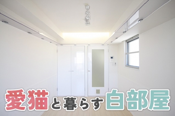 �������� ��Ĺ�١֥��ƥ���̾�פ�ʪ��β���