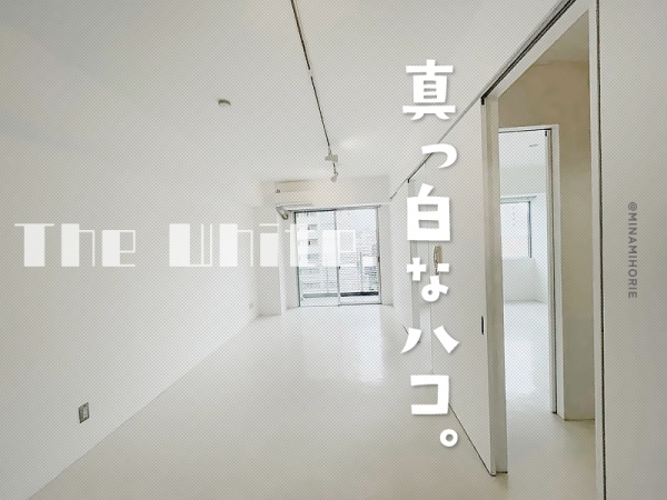 �������� ��Ĺ�١֥��ƥ���̾�פ�ʪ��β���