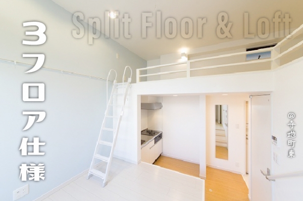 ��Ժ�� ����Į�֥��ƥ���̾�פ�ʪ��β���