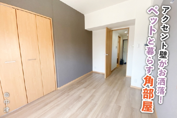 �����̶� ���š֥��ƥ���̾�פ�ʪ��β���