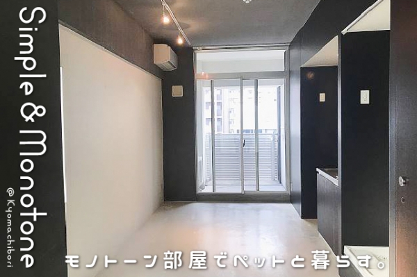 �������� ��嶶�֥��ƥ���̾�פ�ʪ��β���