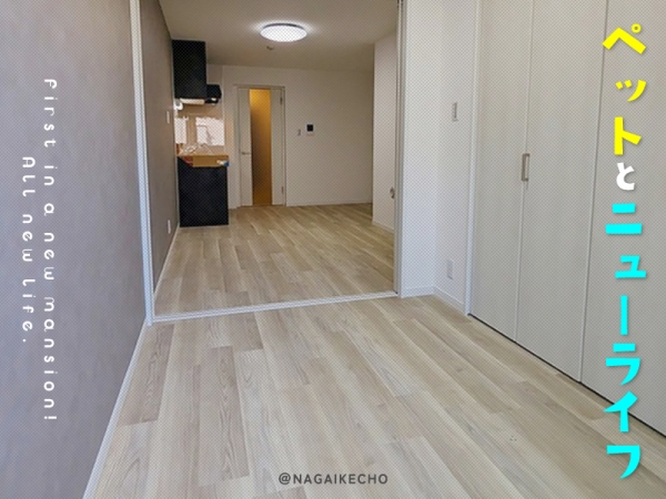 ���԰������ �����ա֥��ƥ���̾�פ�ʪ��β���