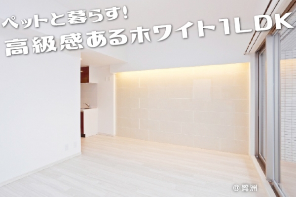 ����ʡ��� ʡ��֥��ƥ���̾�פ�ʪ��β���