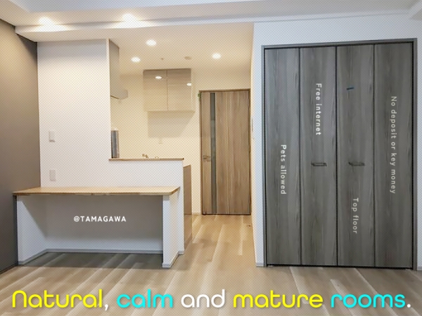 ����ʡ��� ����֥��ƥ���̾�פ�ʪ��β���