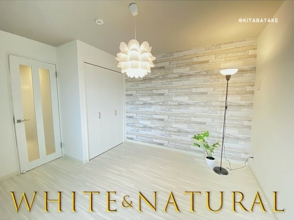 ���Խ�Ƿ���� ��Ƿ������֥��ƥ���̾�פ�ʪ��β���