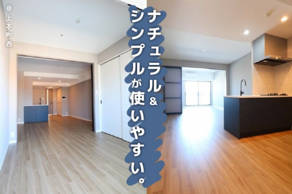 ��������� ëĮ�����ܡ֥��ƥ���̾�פ�ʪ��β���