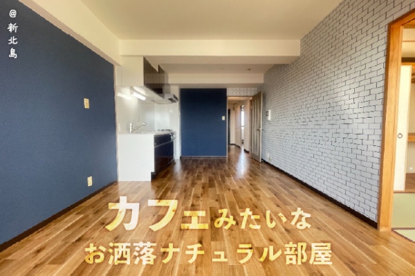 ���Խ�Ƿ���� ��Ƿ������֥��ƥ���̾�פ�ʪ��β���