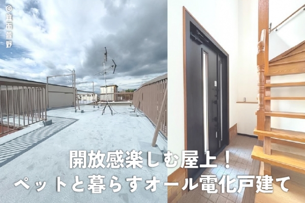 ̧̻ ̧̳֥ƥ̾פʪβ