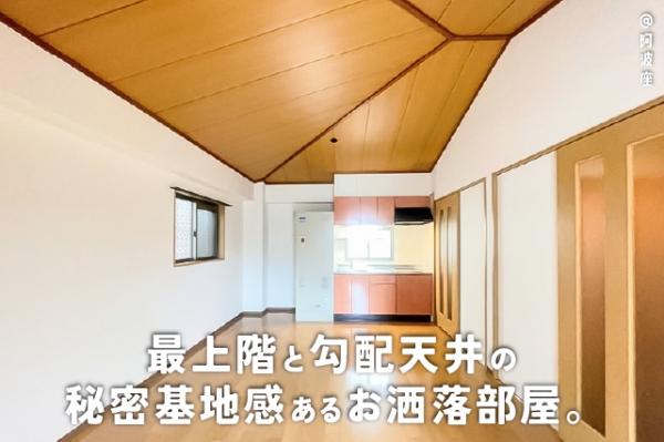 �������� ���Ⱥ¡֥��ƥ���̾�פ�ʪ��β���