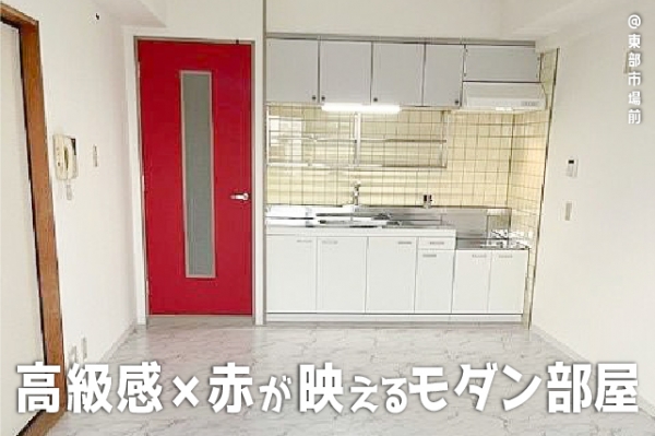 �����콻�ȶ� �����Ծ����֥��ƥ���̾�פ�ʪ��β���