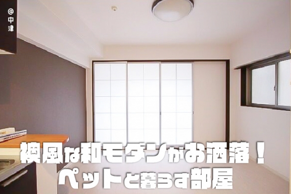 �����̶� ���š֥��ƥ���̾�פ�ʪ��β���