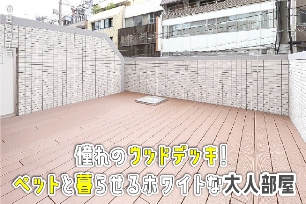 ��������� ëĮ�����ܡ֥��ƥ���̾�פ�ʪ��β���