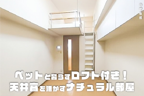 �������� ��嶶�֥��ƥ���̾�פ�ʪ��β���