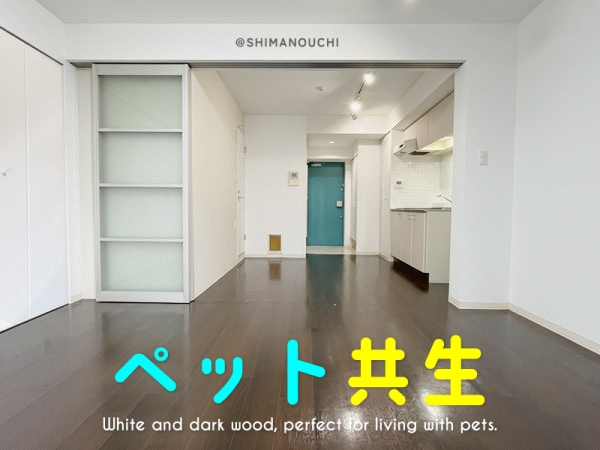 ��������� Ĺ�ٶ��֥��ƥ���̾�פ�ʪ��β���