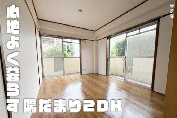 ���Խ��ȶ� Ĺ��֥��ƥ���̾�פ�ʪ��β���